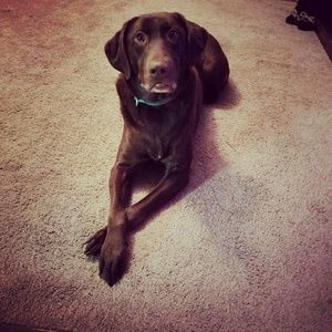 Meet your Posher, Kayla